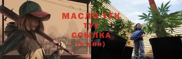сатива Козловка