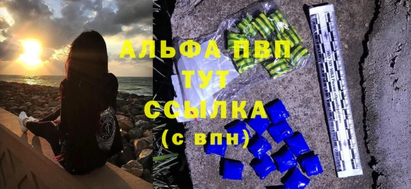 сатива Козловка