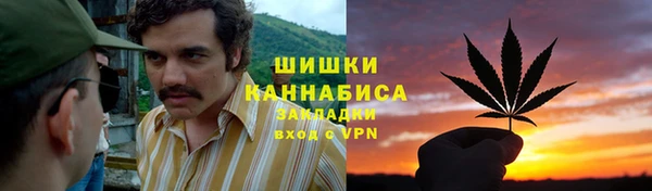 гидропоника Коряжма