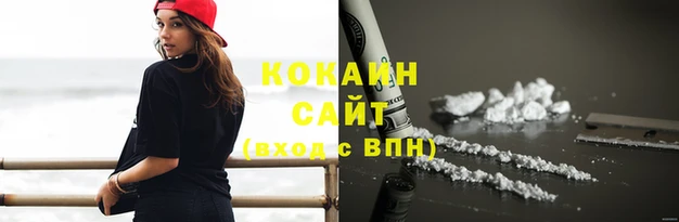 сатива Козельск
