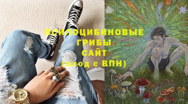 сатива Козельск