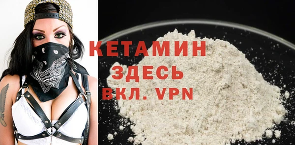 прущие грибы Апатиты