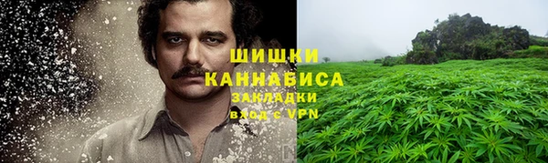 сатива Козельск