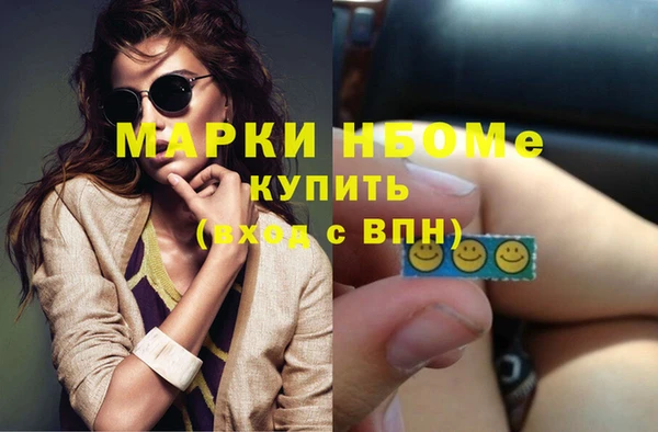 прущие грибы Анжеро-Судженск