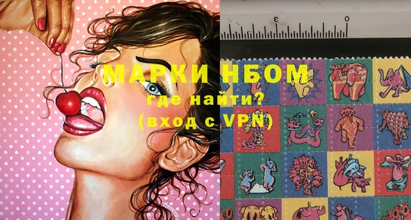 сатива Козельск