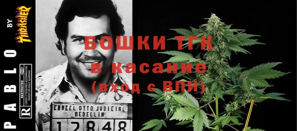 сатива Козельск