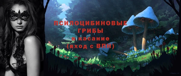 сатива Козловка