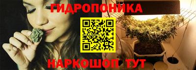 индика Иваново