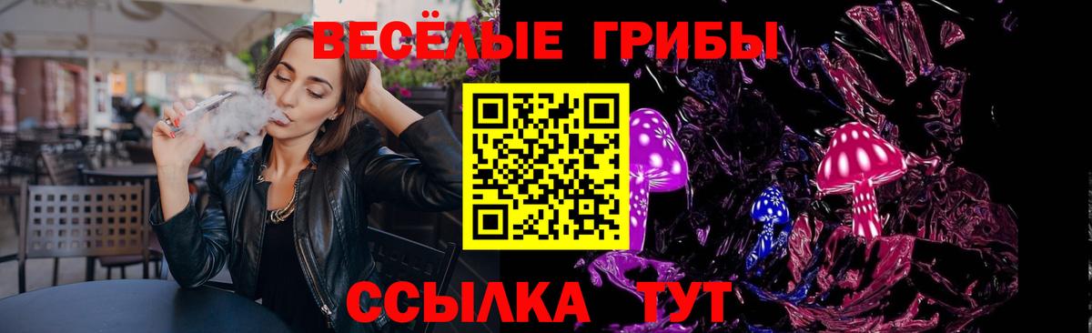 Галлюциногенные грибы Psilocybine cubensis Красноперекопск